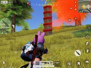 荒野最新爆料,揭秘神秘事件背后的真相 第1张 荒野最新爆料,揭秘神秘事件背后的真相 第1张